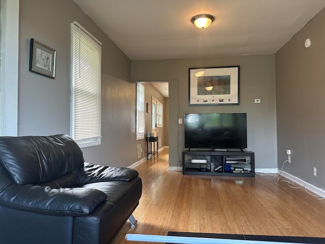 living room with wood-type flooring