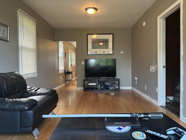 living room featuring wood-type flooring