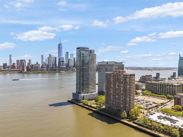 water view featuring a view of city