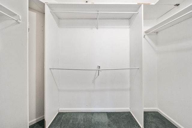 4 Boatworks Dr, Bayonne, NJ 07002 - spacious closet with carpet floors