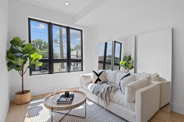 living room featuring light hardwood / wood-style floors