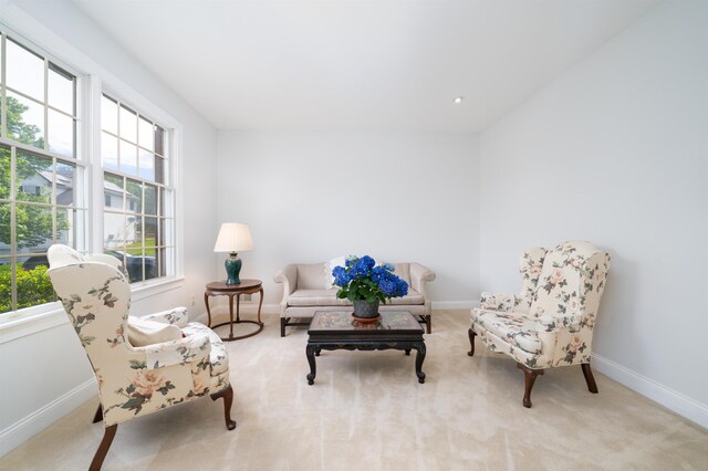 57 Terrace Ave, West Orange, NJ 07052 - sitting room featuring healthy amount of natural light, baseboards, and carpet flooring