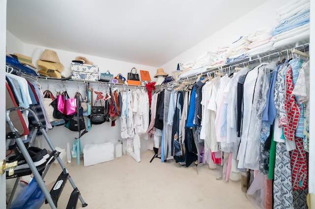 57 Terrace Ave, West Orange, NJ 07052 - spacious closet with carpet floors