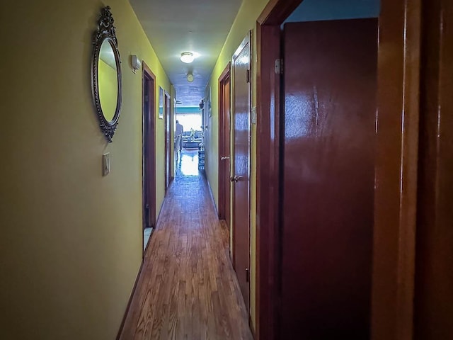 hall featuring wood finished floors