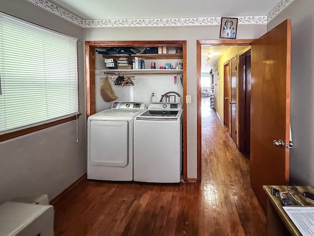 laundry room with dark wood-style floors and laundry area