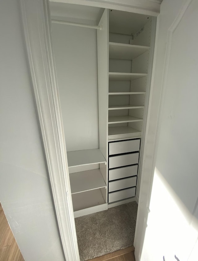 view of closet