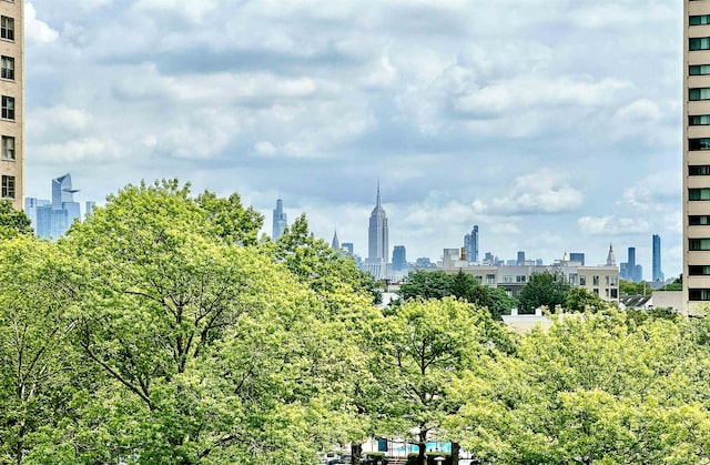 10 Huron Ave Unit 6B, Jersey City, NJ 07306 - photo 20