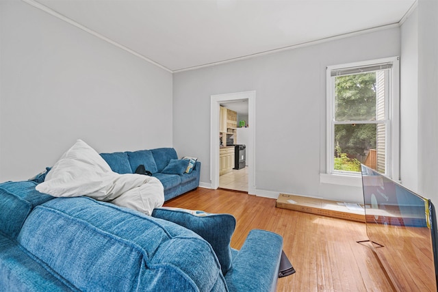 living room with hardwood / wood-style floors, a healthy amount of sunlight, and ornamental molding