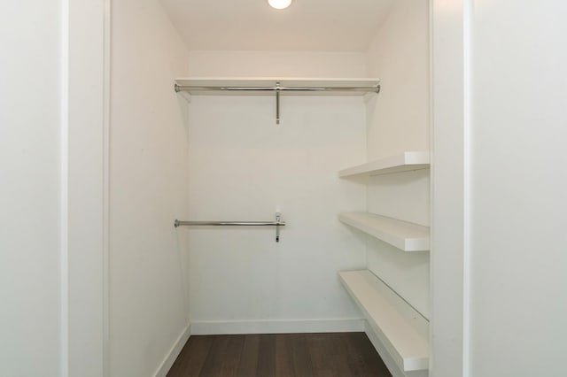 walk in closet with dark wood-style flooring