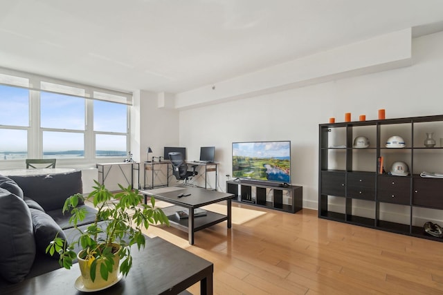 living room featuring light hardwood / wood-style floors