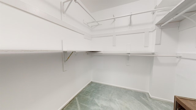 602 Sanderling Ct Unit 602, Secaucus, NJ 07094 - walk in closet with carpet