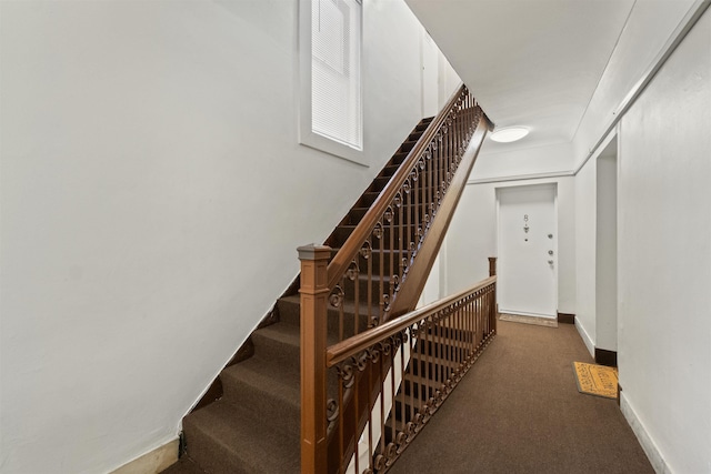 stairway featuring carpet