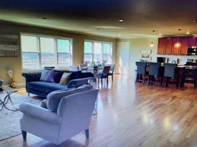 living area featuring wood finished floors