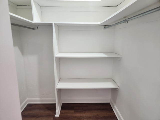 walk in closet featuring dark wood-type flooring