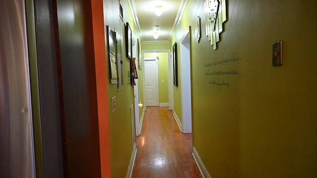 102 Clendenny Ave, Jersey City, NJ 07304 - photo 6