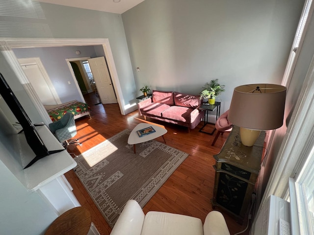 living room featuring dark wood-type flooring