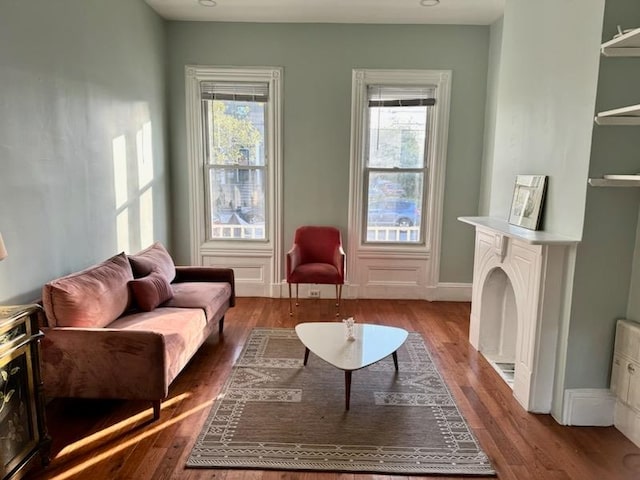 sitting room featuring wood-type flooring