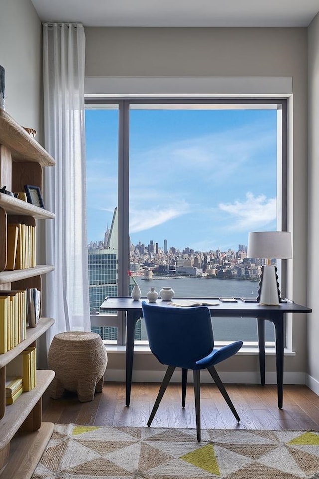 office with a water view and light hardwood / wood-style floors