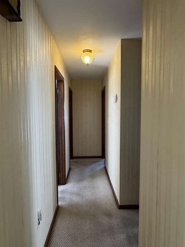 295 Paulanne Ter, Secaucus, NJ 08094 - photo 24