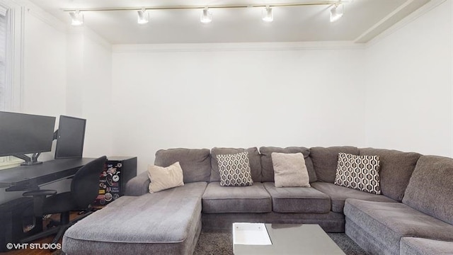 living room featuring ornamental molding and track lighting