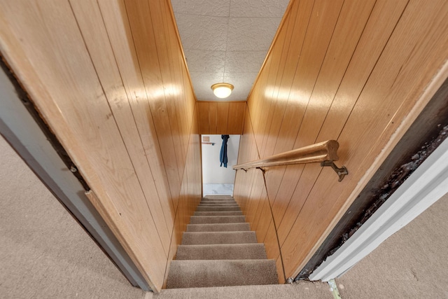 9 E 15th St, Bayonne, NJ 07002 - stairs with carpet flooring and wood walls