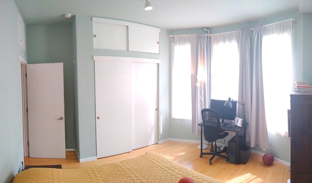 interior space featuring light hardwood / wood-style flooring, multiple windows, and a closet