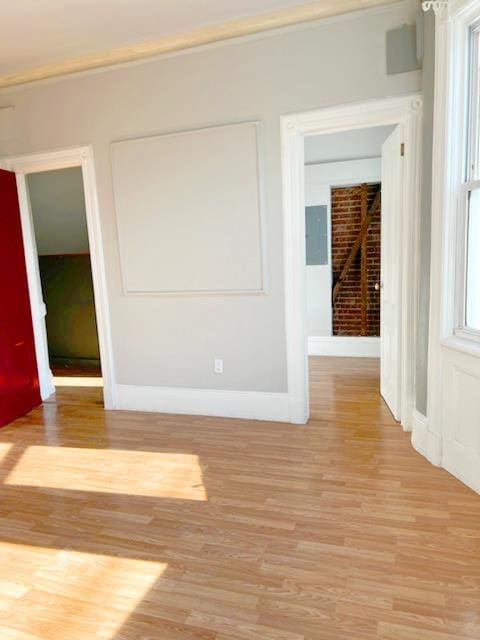 spare room with light hardwood / wood-style flooring