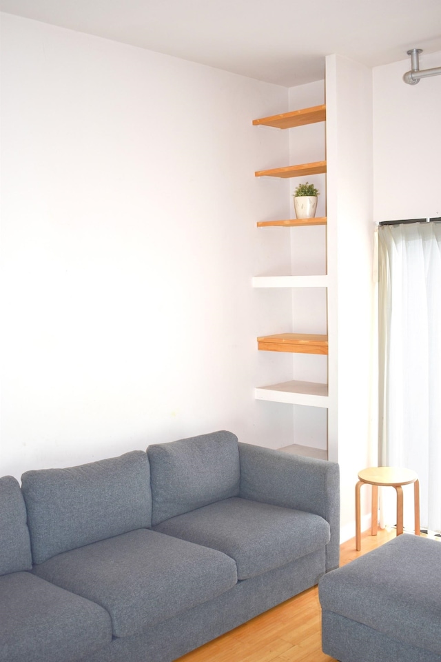 living room featuring wood-type flooring