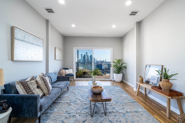 living room with hardwood / wood-style flooring and a healthy amount of sunlight