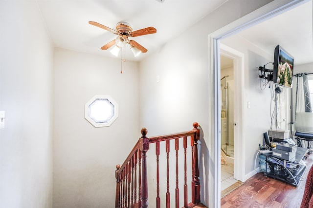 staircase featuring ceiling fan, plenty of natural light, and hardwood / wood-style flooring