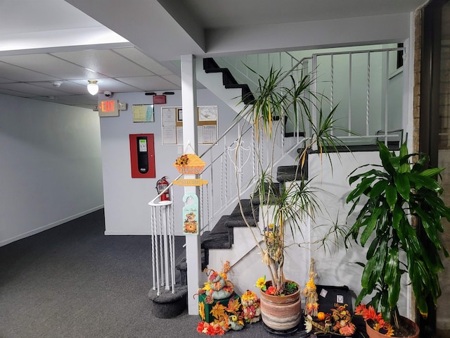 stairway with a paneled ceiling and carpet