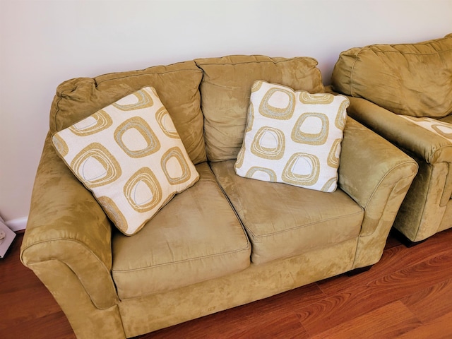 living room featuring hardwood / wood-style floors