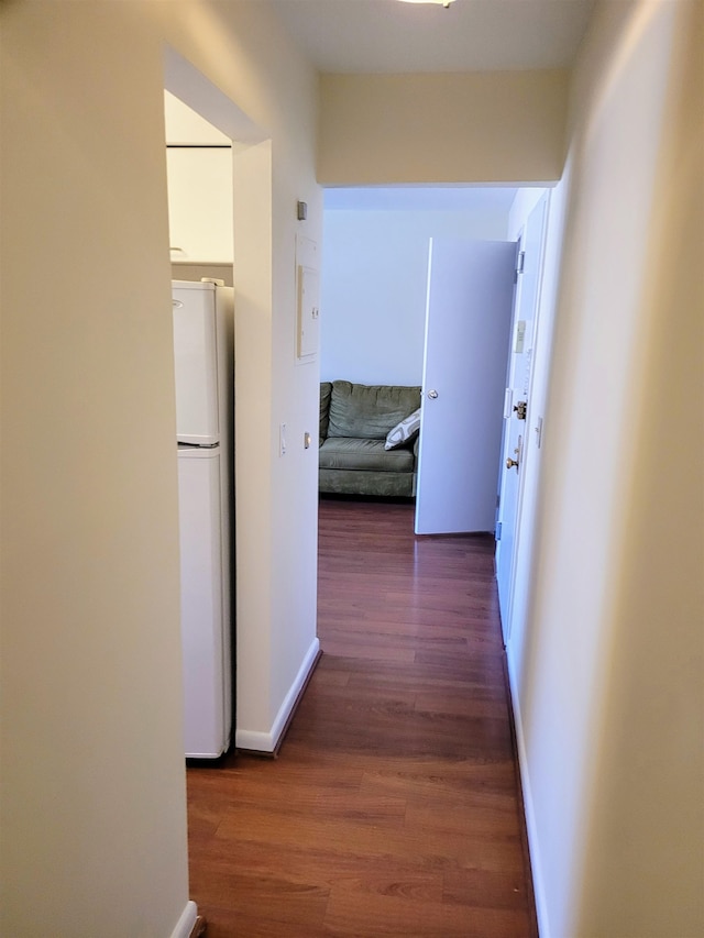 corridor featuring dark wood-type flooring