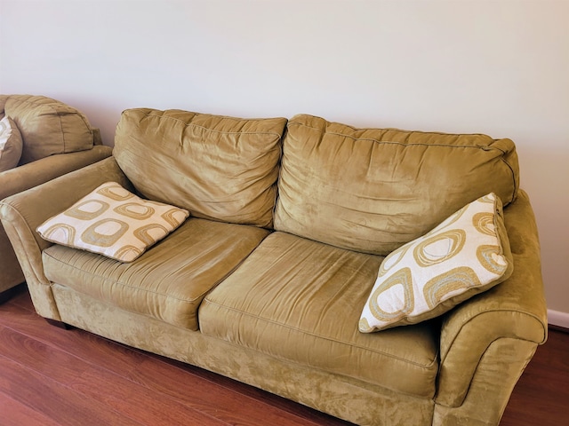 living room featuring hardwood / wood-style floors