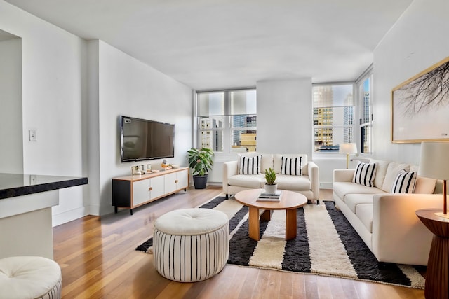 living room featuring light hardwood / wood-style floors and a wall of windows