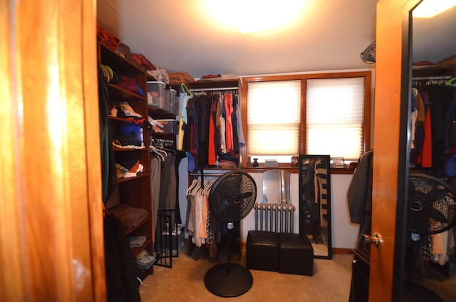 spacious closet featuring carpet