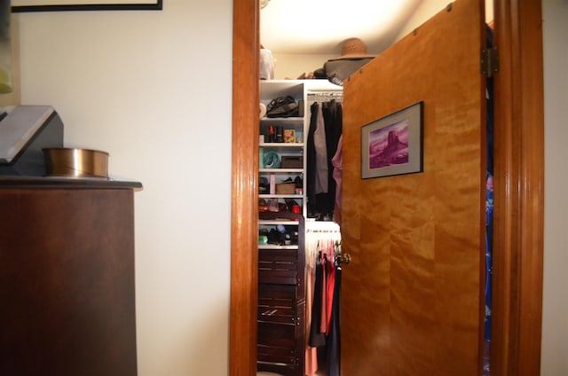 view of closet