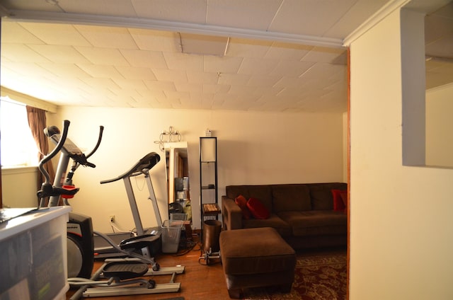 exercise area featuring wood finished floors