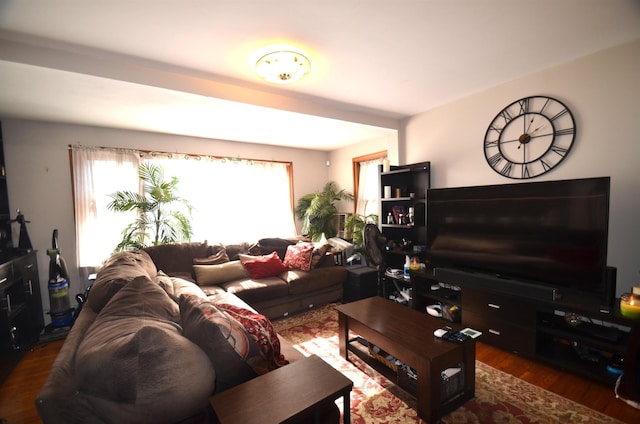 living room featuring wood finished floors