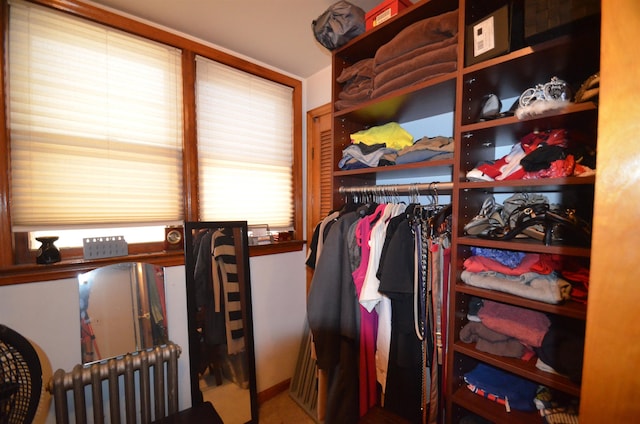 view of spacious closet