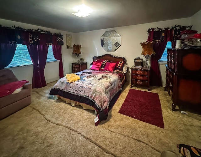 bedroom featuring carpet