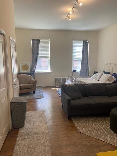 341 Monmouth St Unit 308D, Jersey City, NJ 07302 - bedroom featuring multiple windows, rail lighting, and wood finished floors