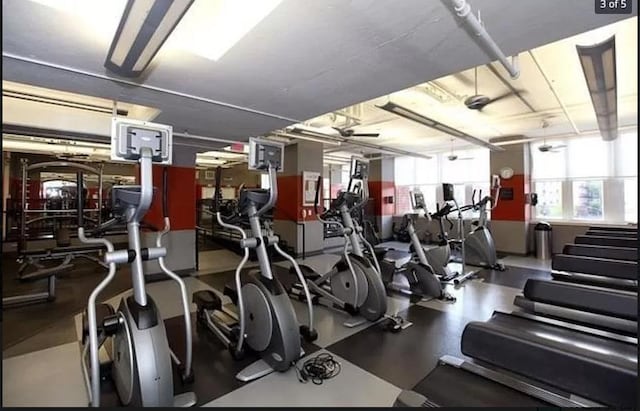 gym featuring ceiling fan