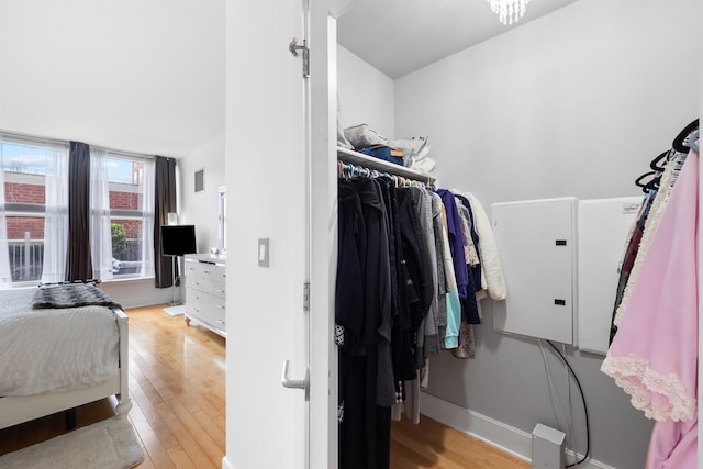 walk in closet with visible vents and light wood-style floors