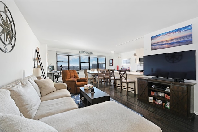 living room featuring dark hardwood / wood-style flooring