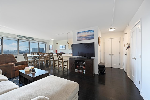 living room featuring dark wood-type flooring