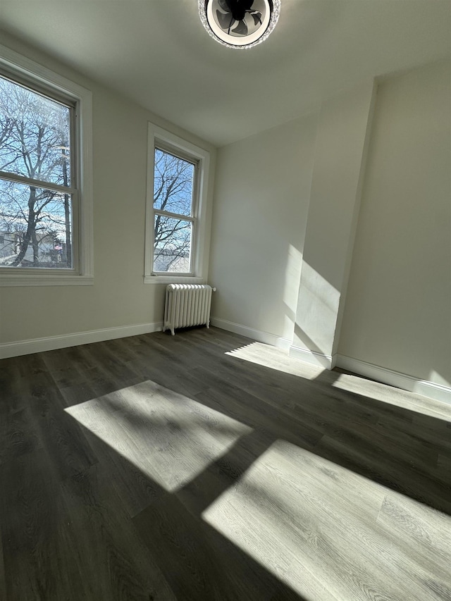 interior space featuring radiator, plenty of natural light, and wood finished floors