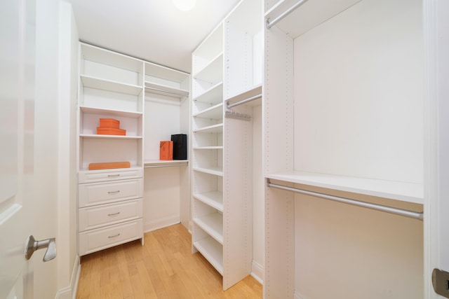 spacious closet featuring light hardwood / wood-style floors