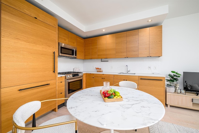 kitchen with backsplash, stainless steel appliances, a sink, and light countertops