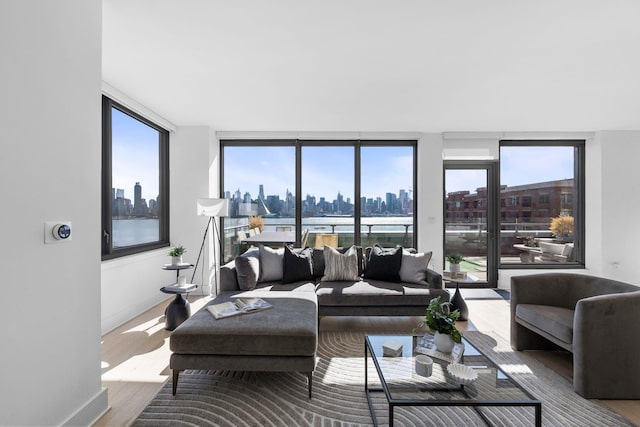 living area featuring baseboards, wood finished floors, and a city view